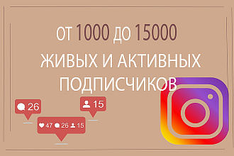 До 15000 живых и активных подписчиков