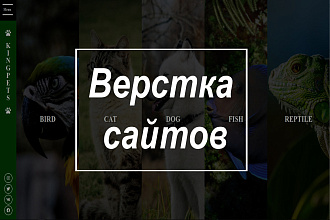 Верстка веб-страниц