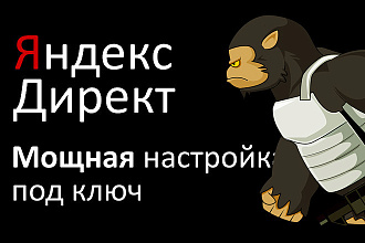 Настрою сильную рекламную компанию в Яндекс Директ под ключ