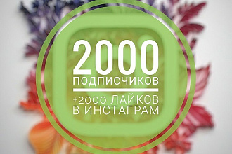 Подписчики в инстаграм
