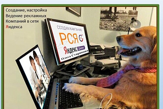 Директолог. Создание и ведение контекстной рекламы в Яндекс Директ