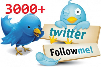 3000+ подписчиков на ваш аккаунт в Twitter