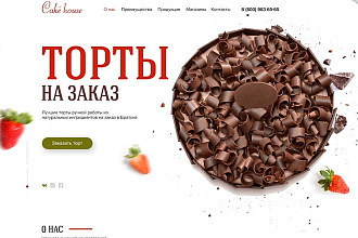 Создание лендинга, многостраничного сайта и интернет-магазина на Tilda