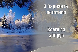3 варианта логотипа