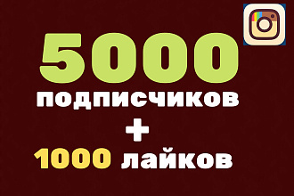Подписчики в инстаграм + 1000 лайков