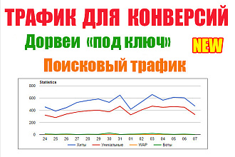 Трафик для конверсий. Дорвей под ключ
