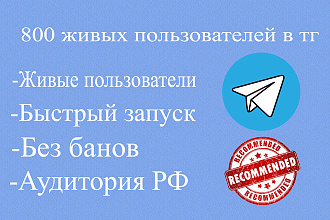 800 живых пользователей в ТГ