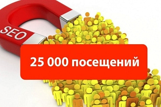 25000 уникальных посетителей на сайт за 7 - 30 дней
