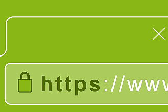 Установлю бесплатный SSL сертификат для домена и всех его поддоменов
