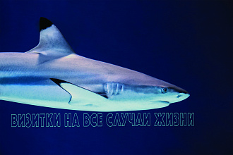 Визитки на все случаи жизни