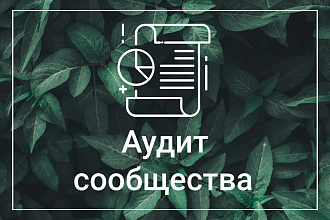 Аудит сообщества