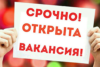 Напишу текст для открывающейся вакансий