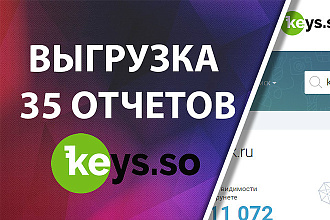 Выгрузка 35 конкурентов из KEYS. SO + Бонусы