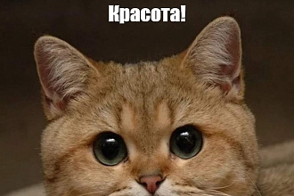 Создам презентацию быстро и красиво