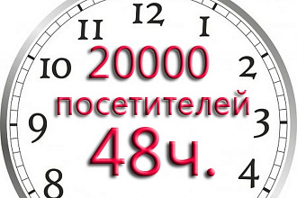 20000к посещений на сайт ежедневно в течение 48 ч