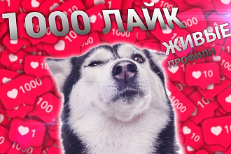 Лайки от живых пользователей Instagram like