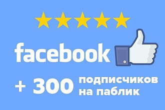 300 подписчиков на паблик FanPage в Фейсбук