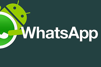 WordPress WhatsApp Служба поддержки