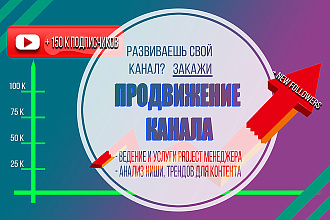 Ведение и продвижение канала на YouTube