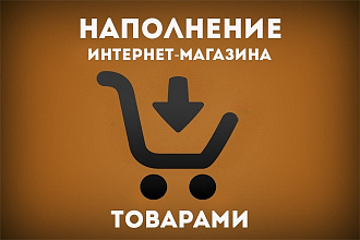 Наполню интернет-магазин товаром на 100 позиций