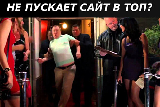 Экспертный SEO-аудит