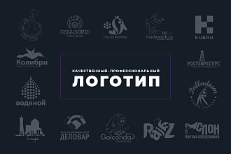 Профессиональный и качественный логотип