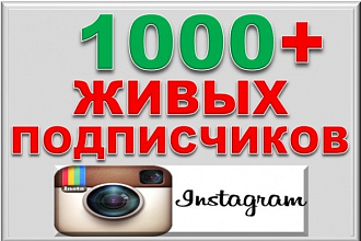 1000+ живых подписчиков в инстаграм