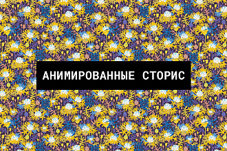 Анимированные сторис креативы для инстаграм