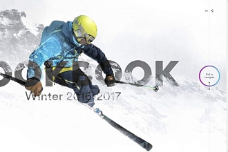 Сайт+Домен для компаний, фирм, филиалов