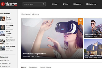 Сделаю полный перевод темы и плагинов VideoPro для WordPress
