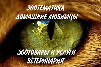 Администратор для вашей группы ВК по зоотематике и ветеринарии
