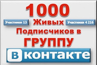 1000 подписок в группу в контакте