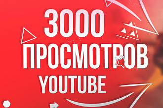 3000 просмотров youtube
