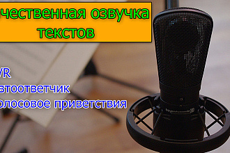 Быстро и качественно озвучим ваш текст