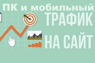 250-300 посетителей ежедневно на 10 дней с ПК и мобильных устройств