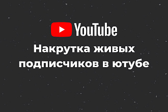 Раскрутка подписчиков ютуб
