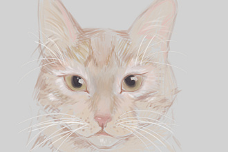 Нарисую кошку