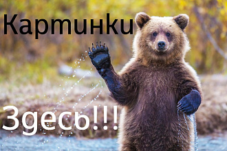 Подберу качественные картинки по вашей тематике!