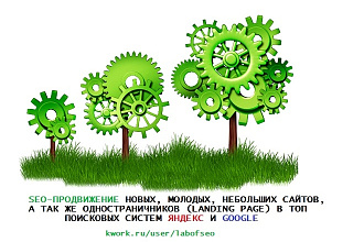 SEO-продвижение нового, молодого, небольшого сайта в ТОП Яндекс и Гугл