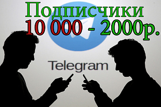 Подписчики телеграм дешево