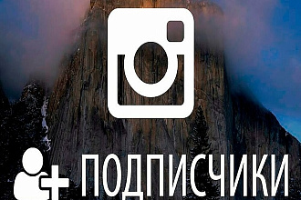 2000 качественных подписчиков в Instagram