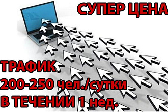 Увеличу трафик сайта на 200-250 человек в день в течение недели
