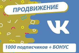 Продвижение Группы ВК, 1000 живых подписчиков + БОНУС