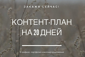 Контент-план на 20 дней