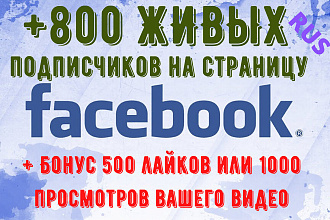 800 русских подписчиков на страницу Facebook