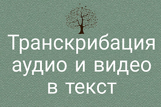 Переведу в текст аудио и видео запись