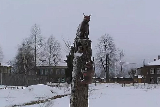 База компании Любим