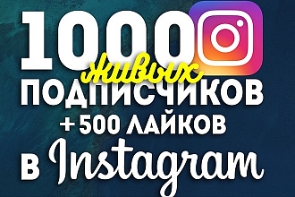 1000 подписчиков за 1 час