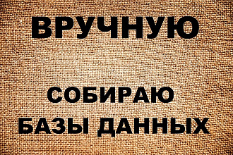 Вручную соберу и систематизирую базу данных