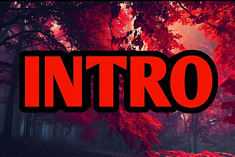 Intro